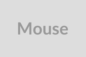 Wireless Mouse